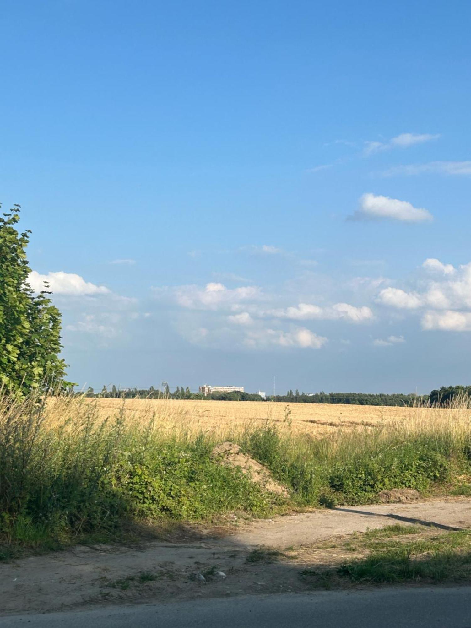 Ferienwohnungen Mit Feldblick Schwerin  Zewnętrze zdjęcie